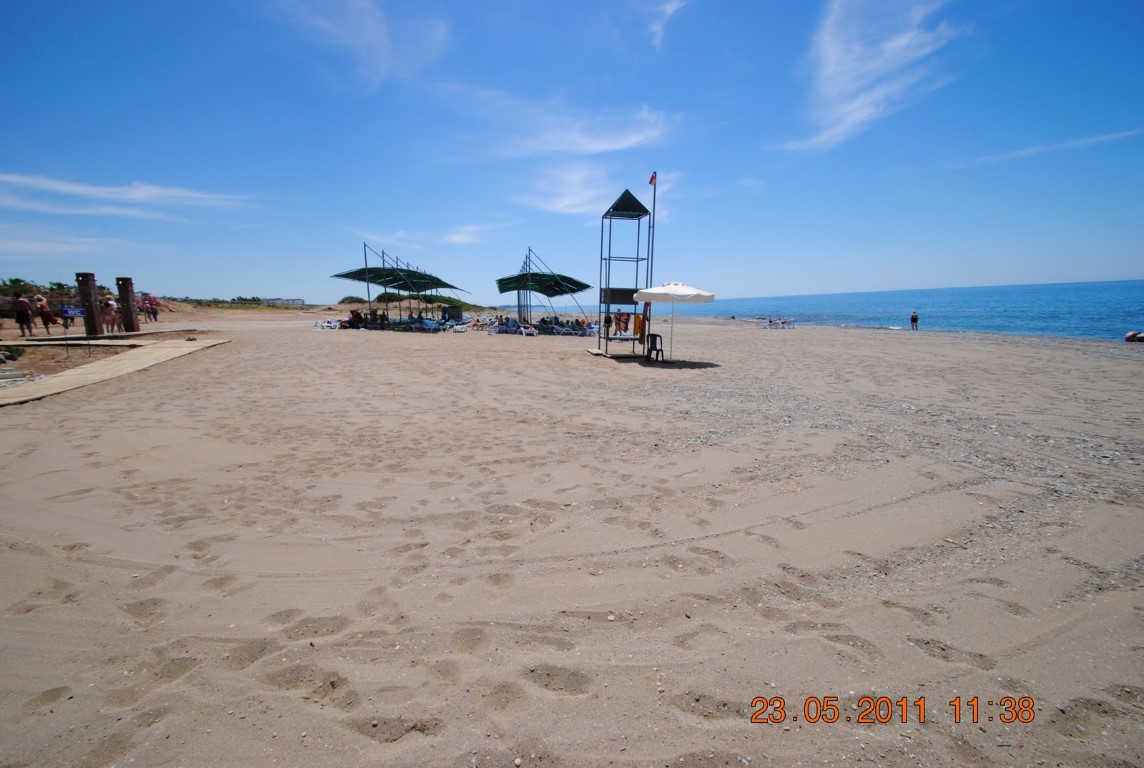 imagini hotel AMELIA BEACH RESORT SIDE